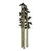 Faux Bamboo Set artwork