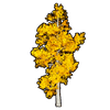 Faux Golden Foliage Set artwork