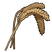 Wheat