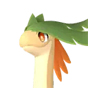 Braloha – Grass Pal