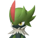 Robinquill – Grass Pal